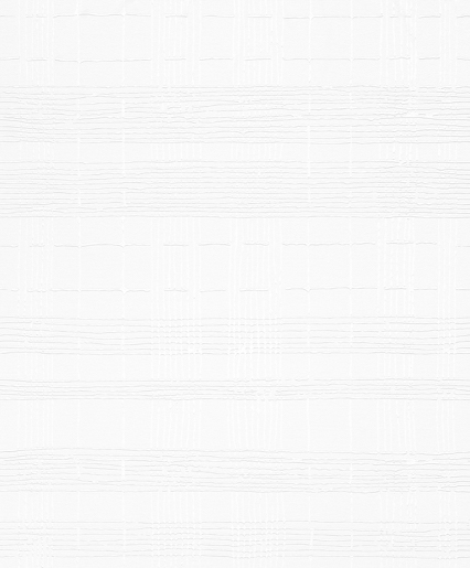 Marburger Tapete 9066 10,05 x 0,53 m Laser Eurorolle 2088